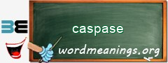 WordMeaning blackboard for caspase